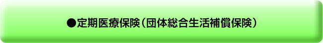 定期医療保険（団体総合生活補償保険）