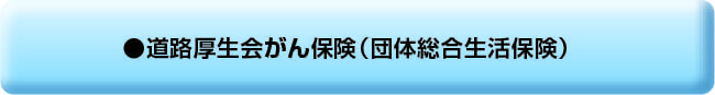 道路厚生会がん保険（団体総合生活保険）