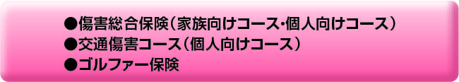 傷害総合保険（家族向けコース・個人向けコース）
交通障害コース（個人向けコース） 　ゴルファー保険