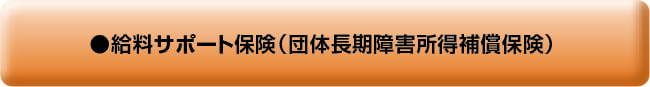 給与サポート保険（団体長期障害所得補償保険）